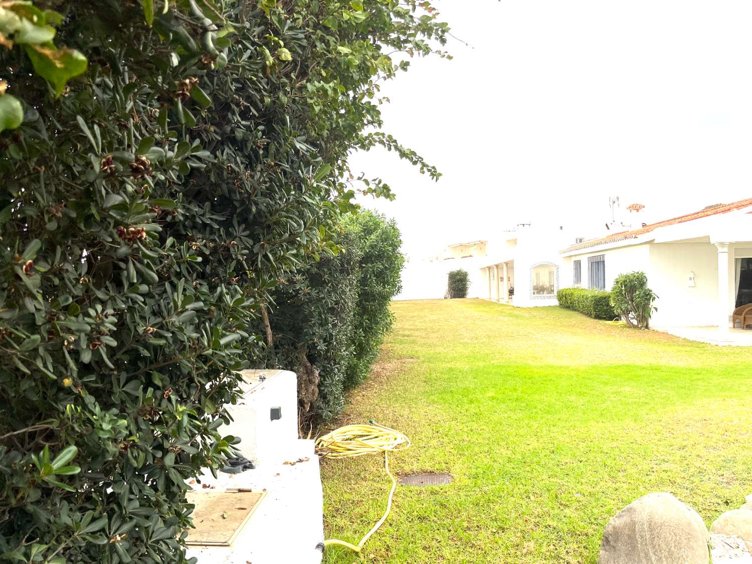 Villa en vente à Guadalmina Baja (Marbella)